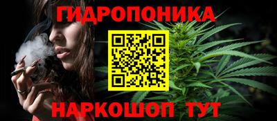 амф Славгород